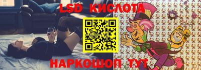 СК Долгопрудный