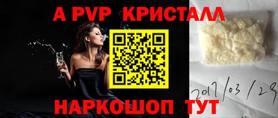 СК Долгопрудный