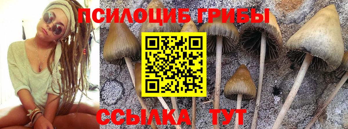 Галлюциногенные грибы GOLDEN TEACHER Обнинск