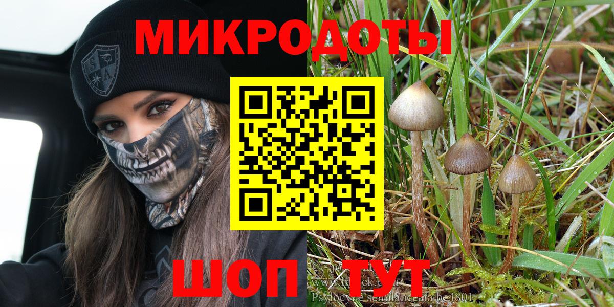 Обнинск  Галлюциногенные грибы прущие грибы  Вход с VPN 